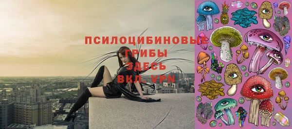 прущий лед Арсеньев