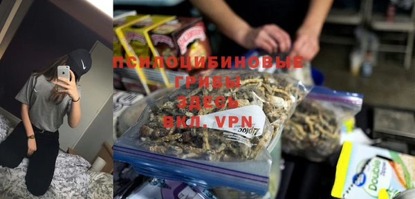 прущий лед Арсеньев